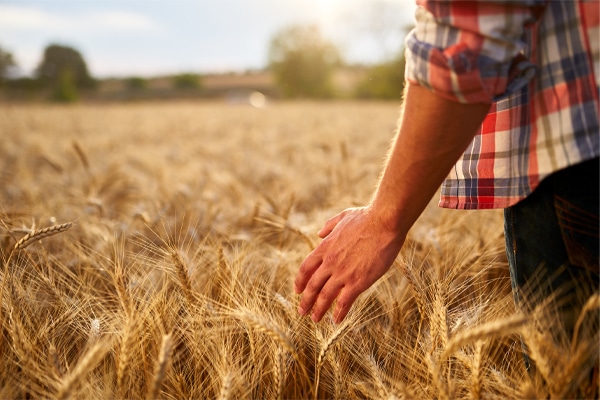 produit d’entretien professionnel domaine agricole