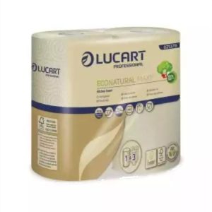 Essuie-Tout Fibres Recyclées 2 Rouleaux LUCART