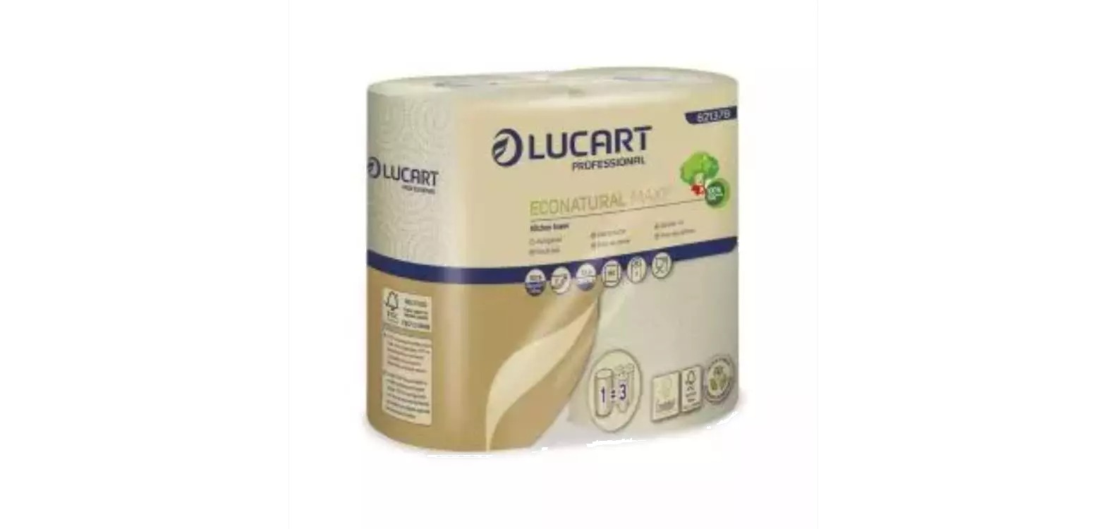 Essuie-Tout Fibres Recyclées 2 Rouleaux LUCART