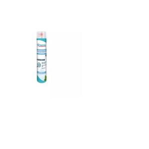 Désinfectant Aérosol Grands Espaces 750ml Menthe