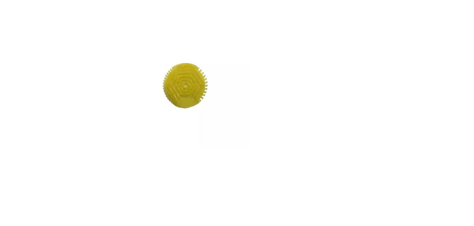 Grille Urinoir Parfum Mangue Anti Projections Lot de 2