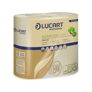 Essuie-Tout Fibres Recyclées 2 Rouleaux LUCART